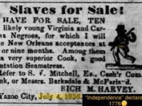 While Some Celebrate The 4th of July, We Remember The 4th of You&nbsp;Lie