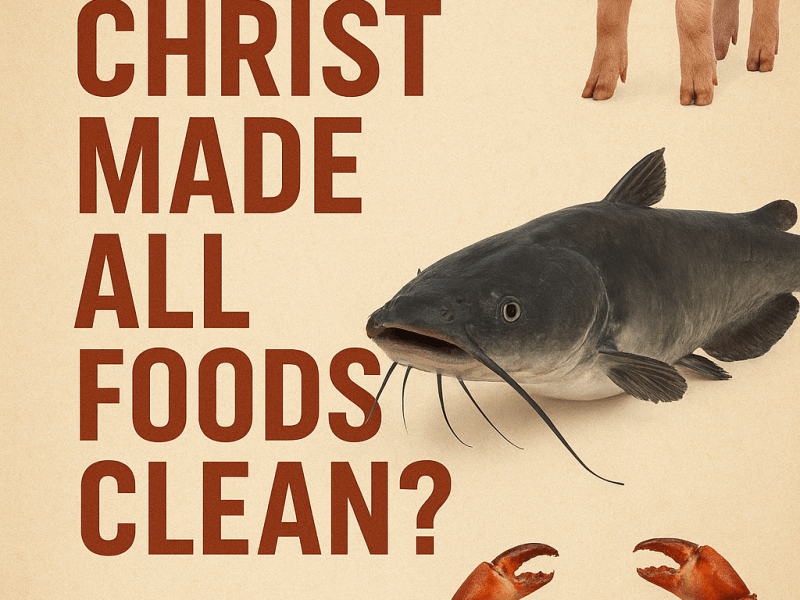 Biblical Misconceptions Part 7: Did “Christ Make All Foods&nbsp;Clean”?